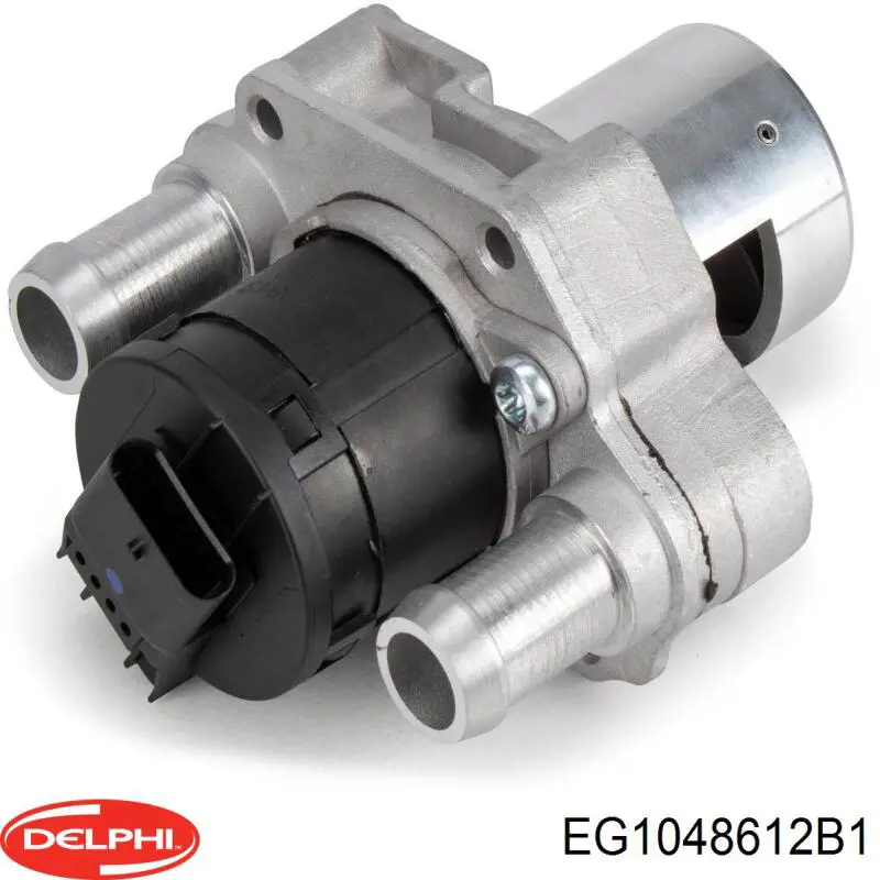 Comprar EG1048612B1 Delphi Válvula EGR