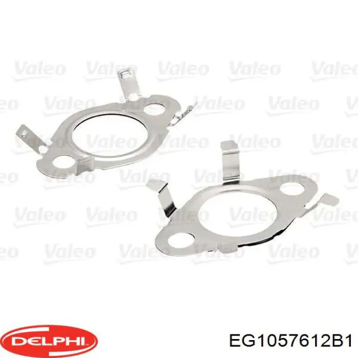 Enfriador de recirculación de gases de escape EGR Delphi EG1057612B1 precio, desde 213,28 EUR