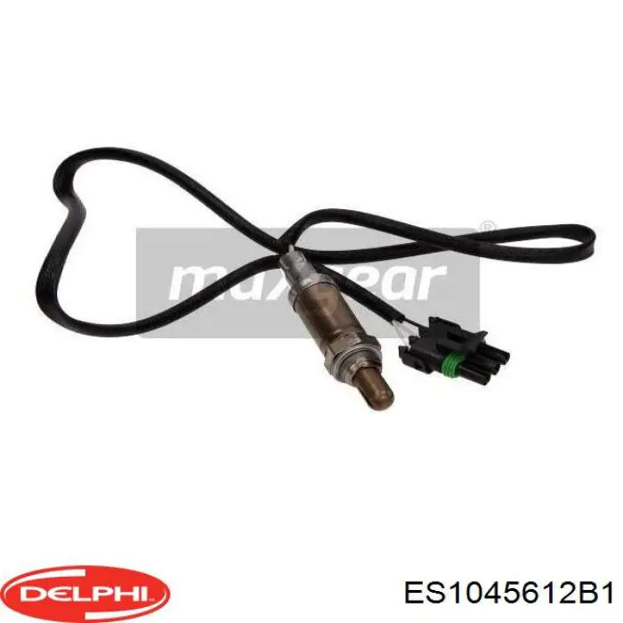  Delphi ES1045612B1