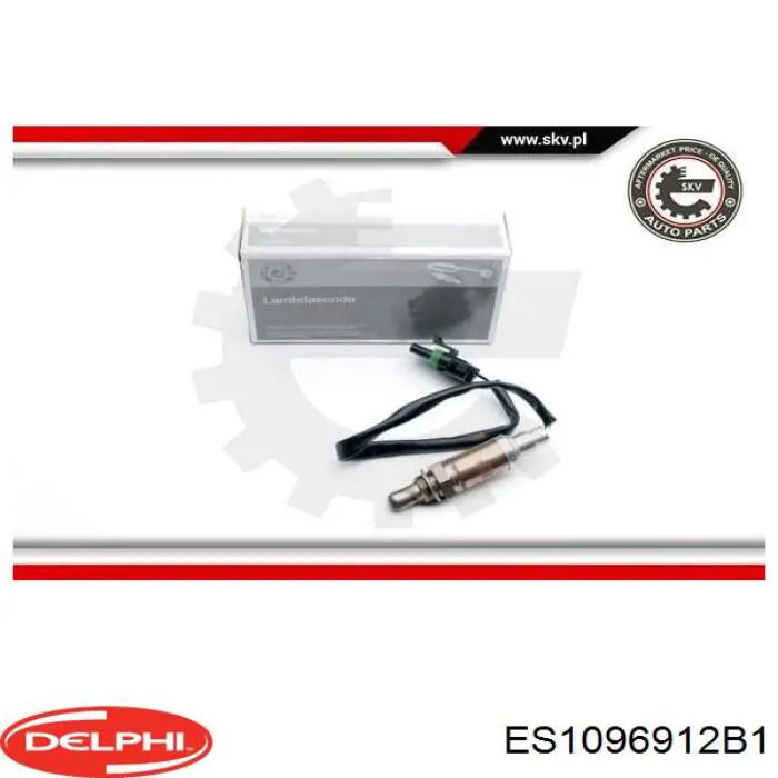 Sensor de oxígeno Delphi ES1096912B1