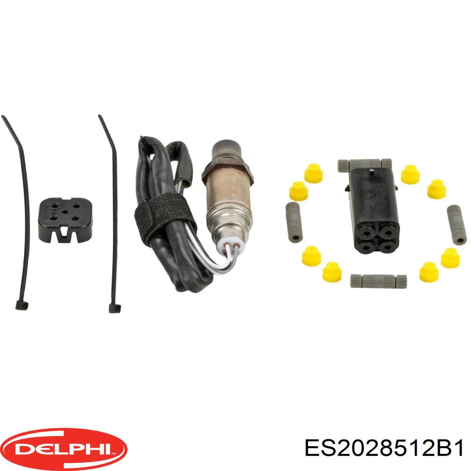  Delphi ES2028512B1