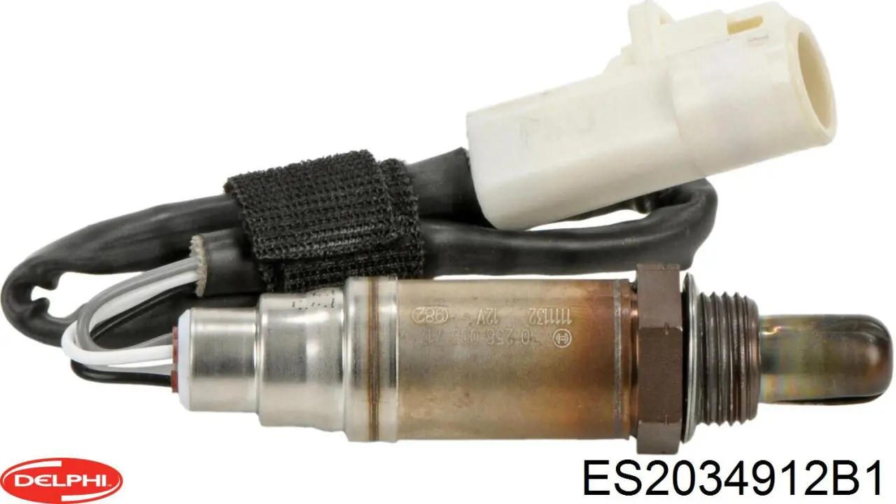  FAE 77578