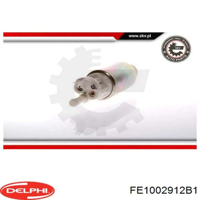FE10029-12B1 Delphi módulo alimentación de combustible