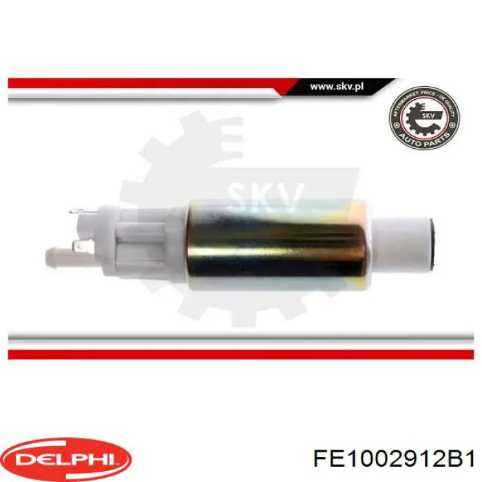 Comprar FE1002912B1 Delphi Unidad de alimentación de combustible