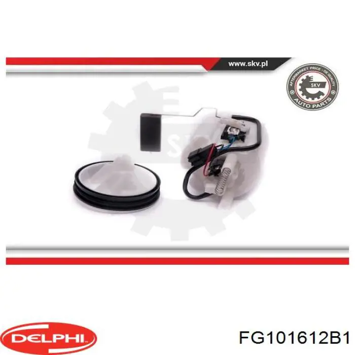 Comprar FG101612B1 Delphi Unidad de alimentación de combustible