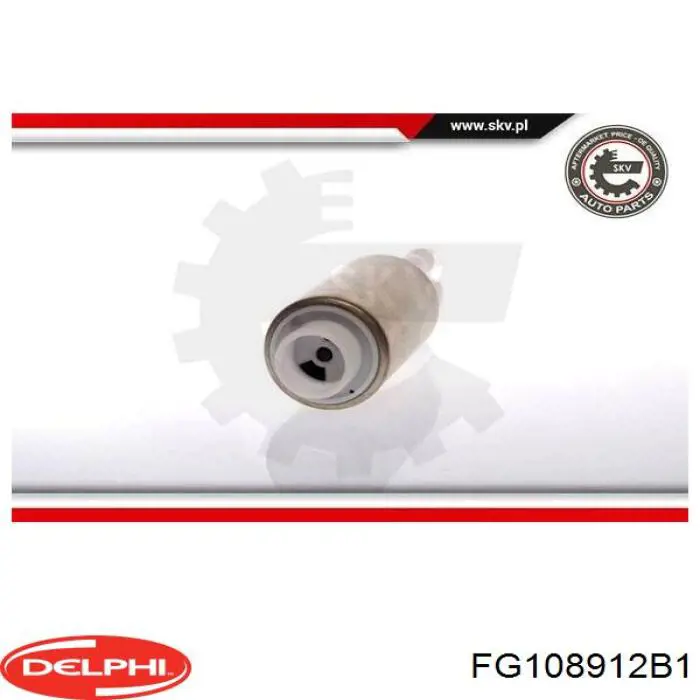Módulo alimentación de combustible  Delphi FG108912B1 precio, desde 95,76 EUR