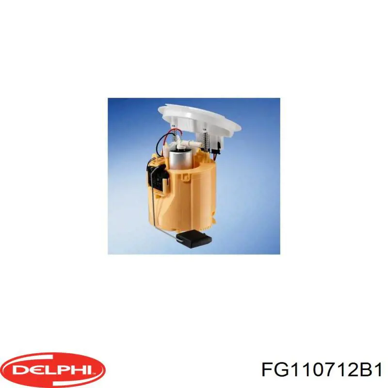 Módulo alimentación de combustible  Delphi FG110712B1 precio, desde 232,56 EUR