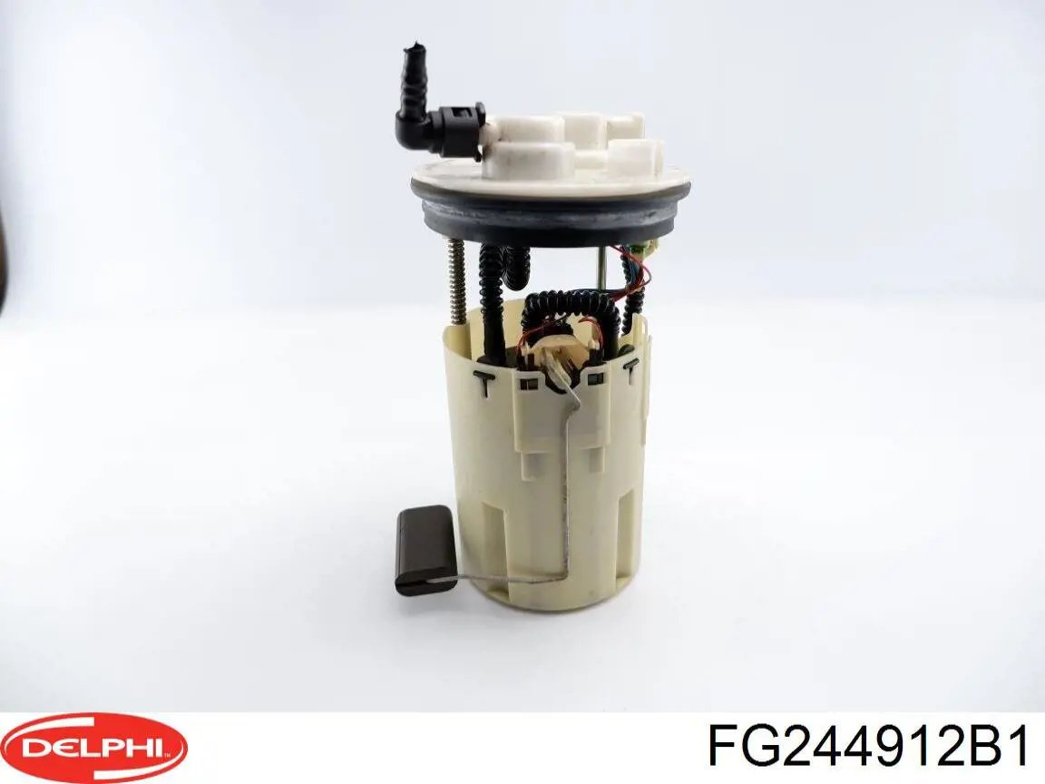 Módulo alimentación de combustible  Delphi FG244912B1 precio, desde 101,64 EUR