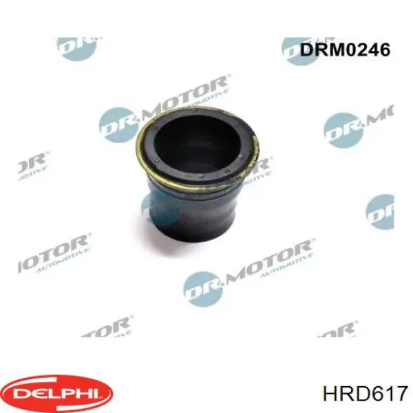 HRD617 Delphi inyector