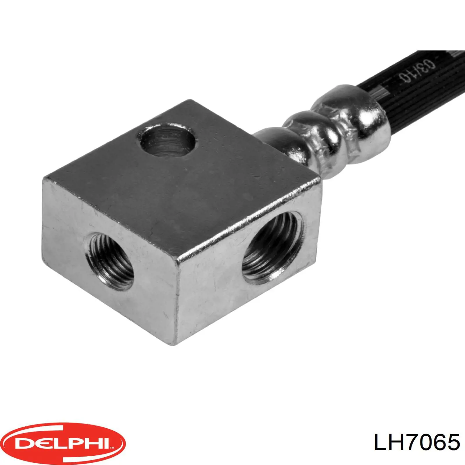 LH7065 Delphi