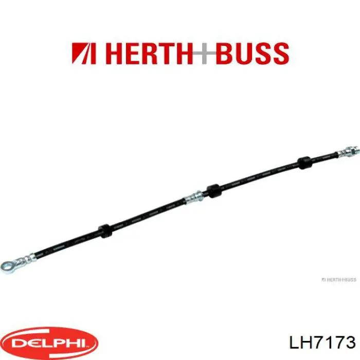 LH7173 Delphi latiguillos de freno delantero derecho