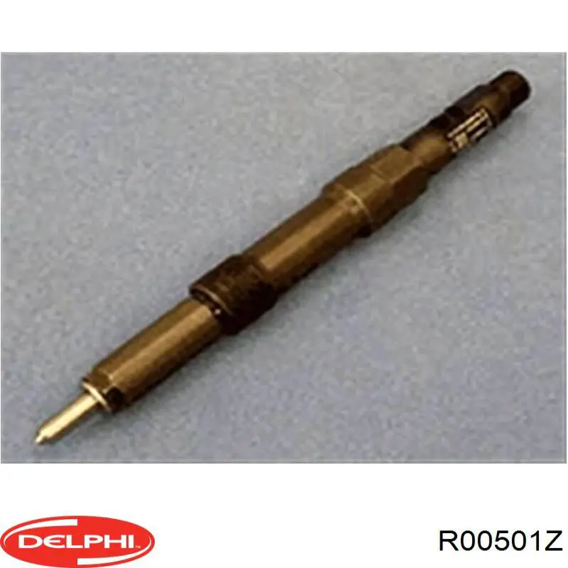 Inyectores Delphi R00501Z precio, desde 93,17 EUR