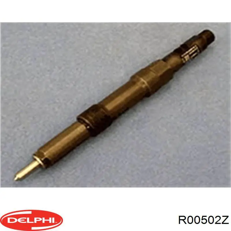 Inyectores Delphi R00502Z precio, desde 76,96 EUR