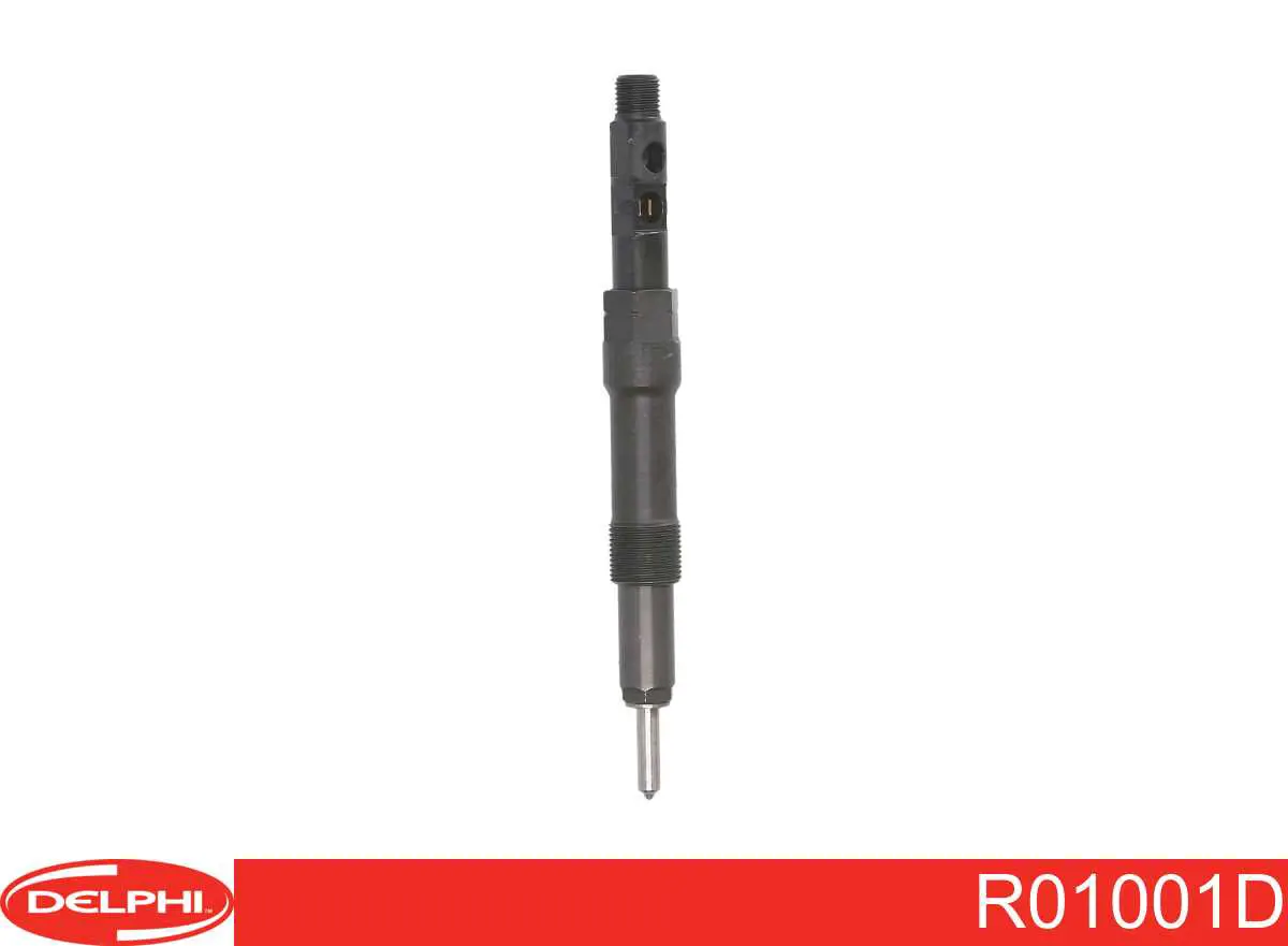 R01001D Delphi Inyector de combustible