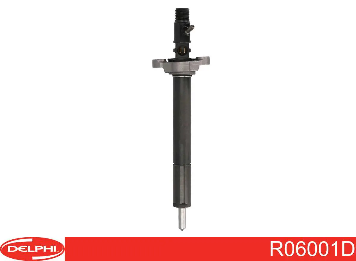 Inyectores Delphi R06001D precio, desde 76,96 EUR