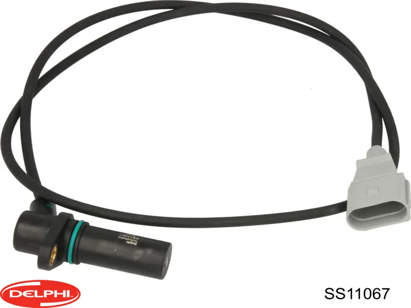 SS11067 Delphi Sensor de posición del cigüeñal