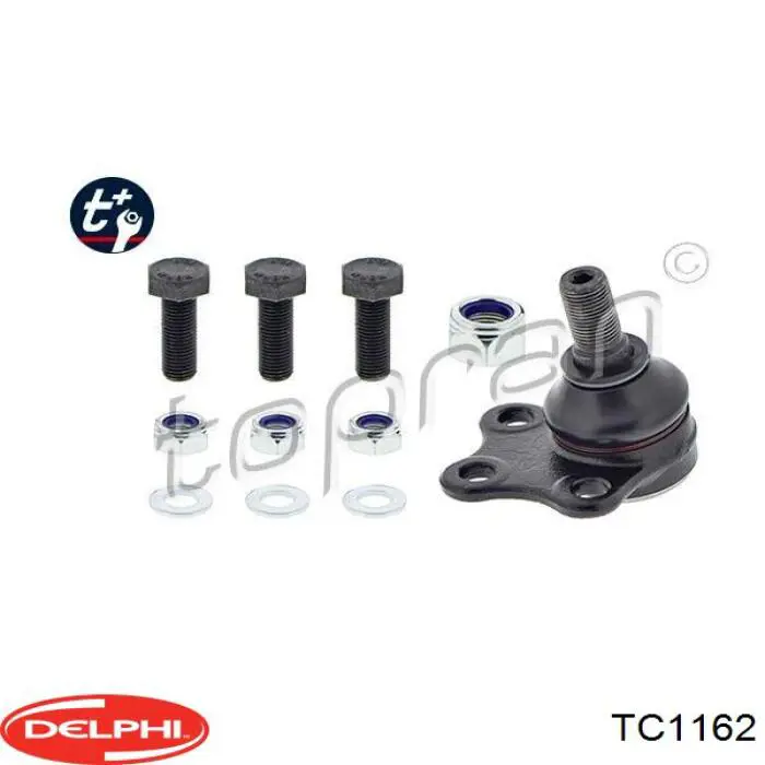 Comprar TC1162 Delphi Rótula inferior de suspensión