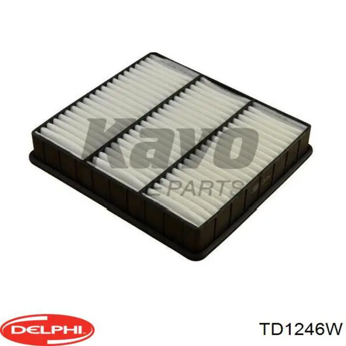 TD1246W Delphi silentblock de mangueta trasera