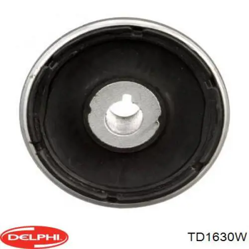 TD1630W Delphi silentblock de brazo suspensión trasero transversal