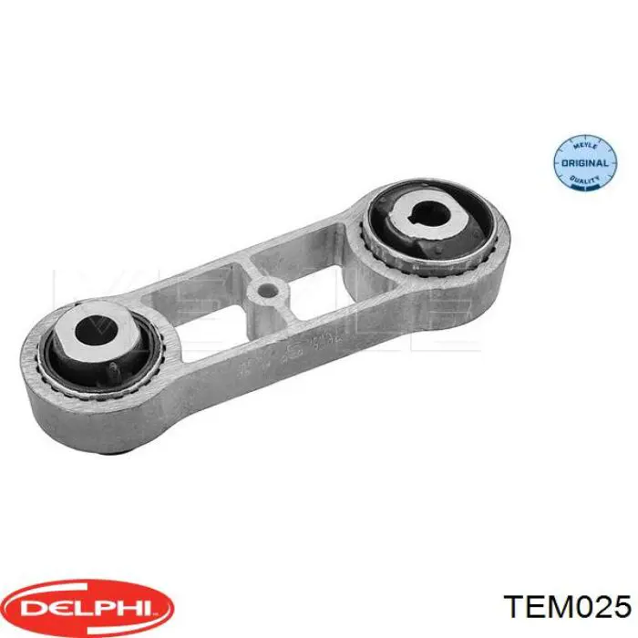 TEM025 Delphi soporte de motor trasero