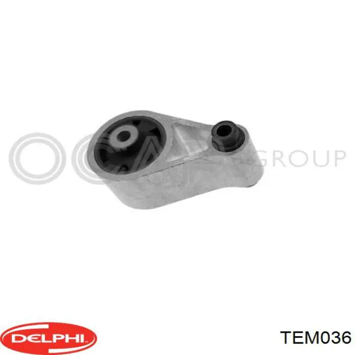 TEM036 Delphi soporte de motor trasero