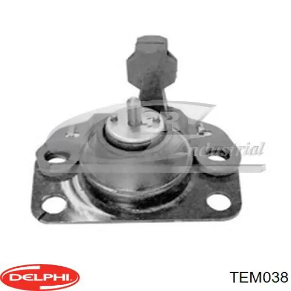 TEM038 Delphi soporte de motor derecho