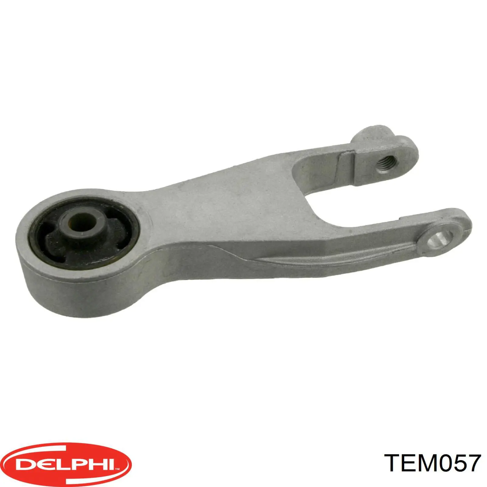 TEM057 Delphi Taco de motor
