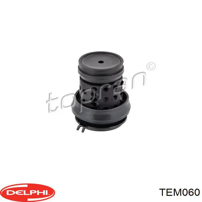 TEM060 Delphi montaje de transmision (montaje de caja de cambios)