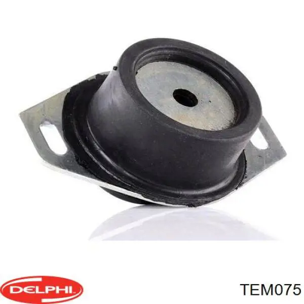 TEM075 Delphi soporte, motor, derecho superior
