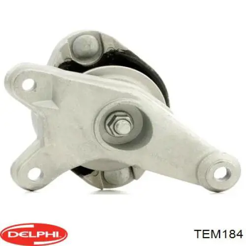 Taco de caja de cambios Delphi TEM184 precio, desde 34,38 EUR