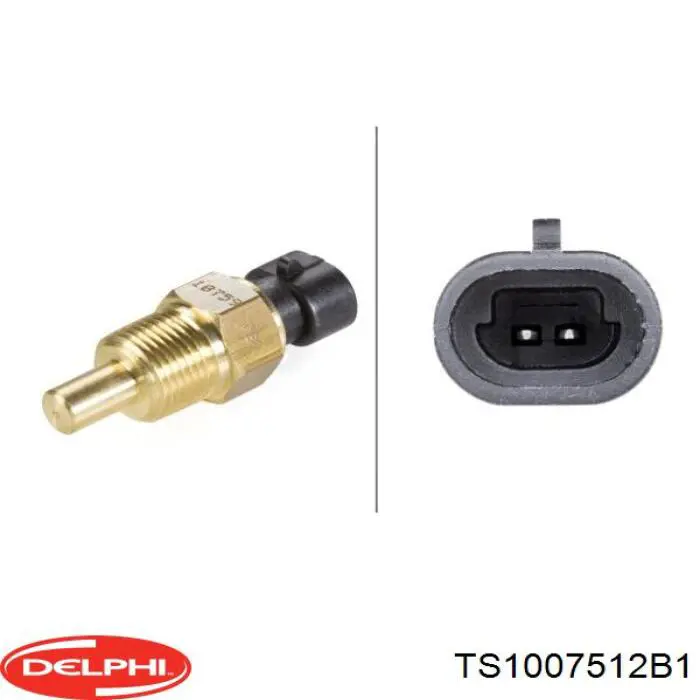 TS1007512B1 Delphi sensor de temperatura del refrigerante