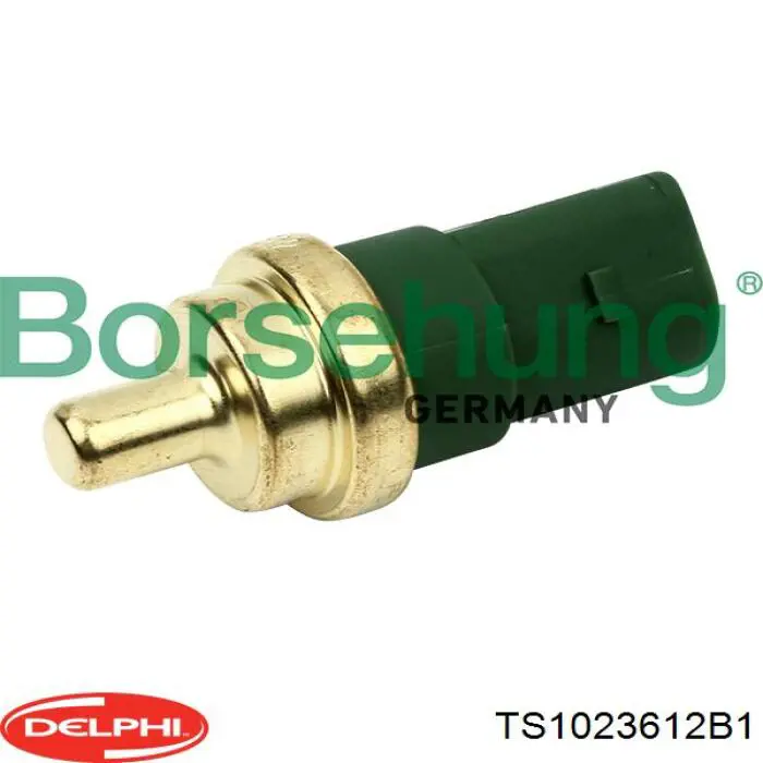 TS10236-12B1 Delphi sensor de temperatura del refrigerante