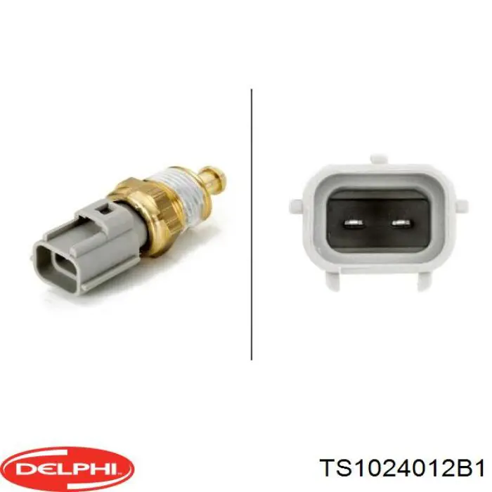 Sensor de temperatura TS1024012B1 Delphi