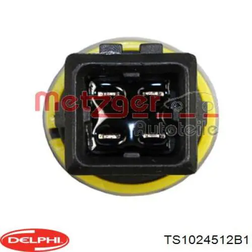 Sensor de temperatura TS1024512B1 Delphi