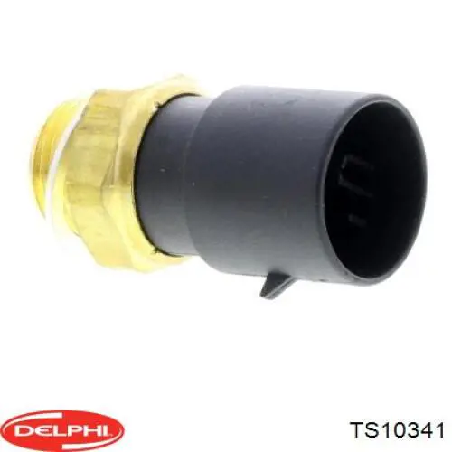 TS10341 Delphi sensor, temperatura del refrigerante (encendido el ventilador del radiador)