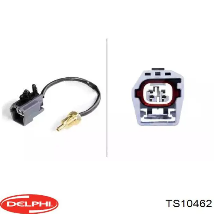 TS10462 Delphi sensor de temperatura del refrigerante