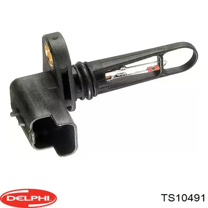 TS10491 Delphi sensor, temperatura del aire de admisión