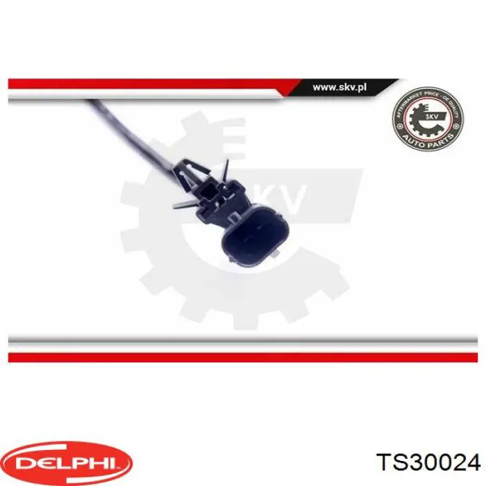 Sensor de temperatura de gases de escape después del filtro de partículas Delphi TS30024 precio, desde 53,83 EUR