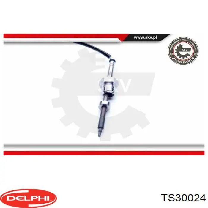 Comprar TS30024 Delphi Sensor de temperatura de gases de escape después del filtro de partículas