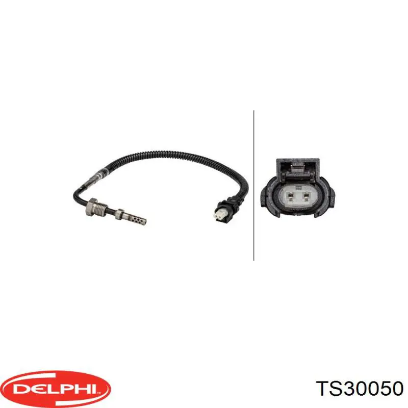 TS30050 Delphi sensor de temperatura, gas de escape, antes de catalizador
