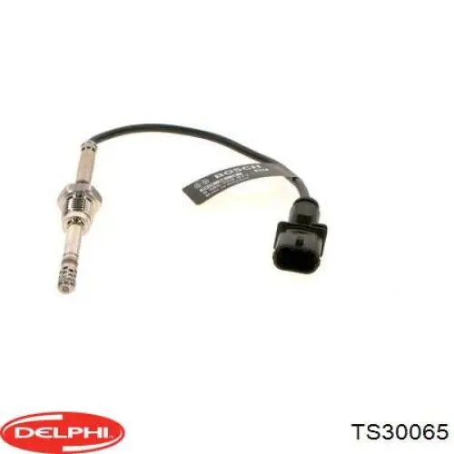 TS30065 Delphi sensor de temperatura, gas de escape, antes de catalizador