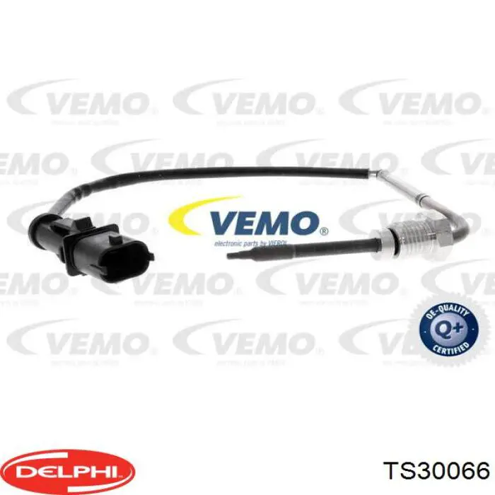 TS30066 Delphi sensor de temperatura, gas de escape, en catalizador