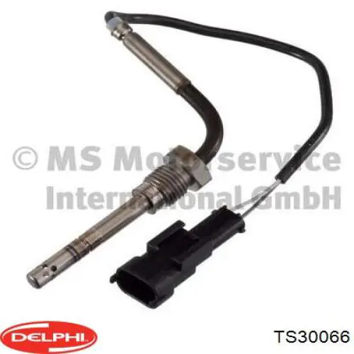 Comprar TS30066 Delphi Sensor de temperatura de gases de escape en catalizador