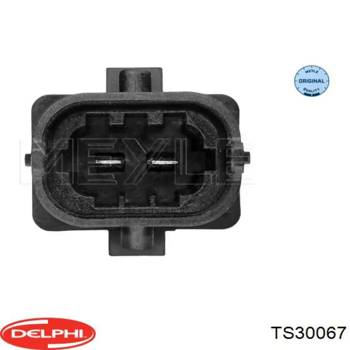 TS30067 Delphi sensor de temperatura, gas de escape, antes de catalizador