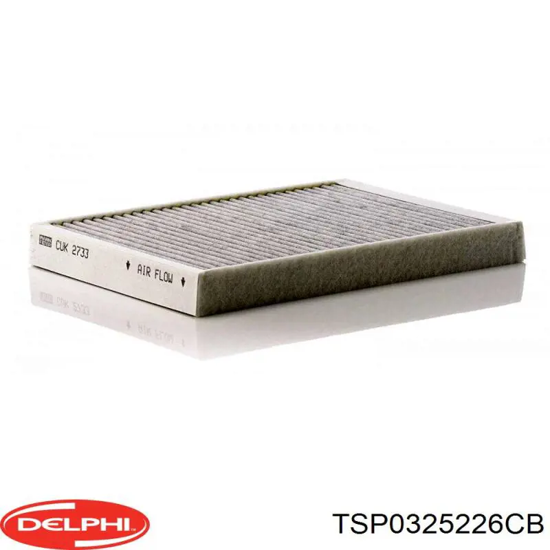 TSP0325226CB Delphi Filtro antipolen