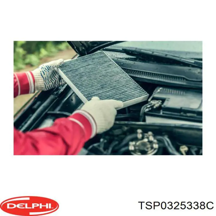 Comprar TSP0325338C Delphi Filtro de aire del habitáculo
