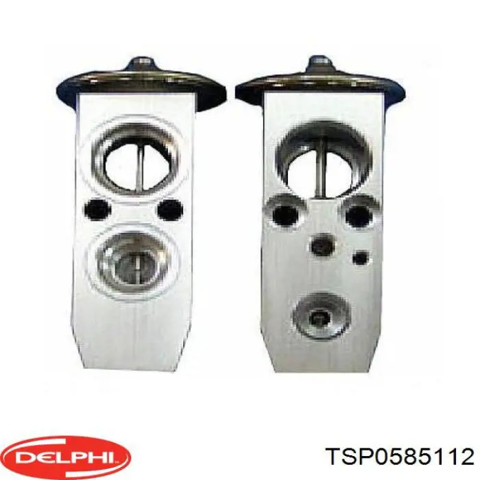 Válvula TRV del aire acondicionado Delphi TSP0585112 precio, desde 47,07 EUR
