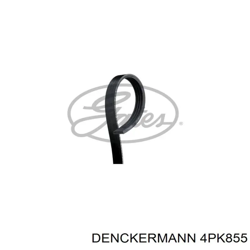 4PK855 Denckermann correa trapezoidal