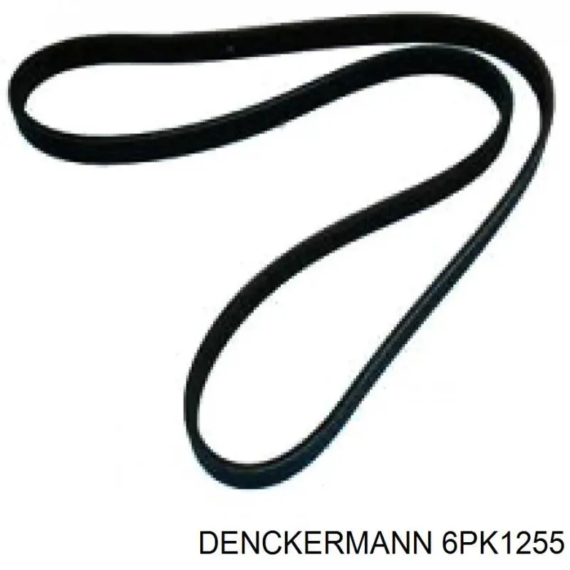 6PK1255 Denckermann correa trapezoidal