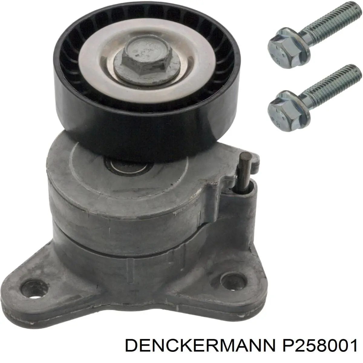 P258001 Denckermann rodillo, correa trapecial poli v